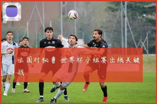 法国对秘鲁 世界杯小组赛出线关键战